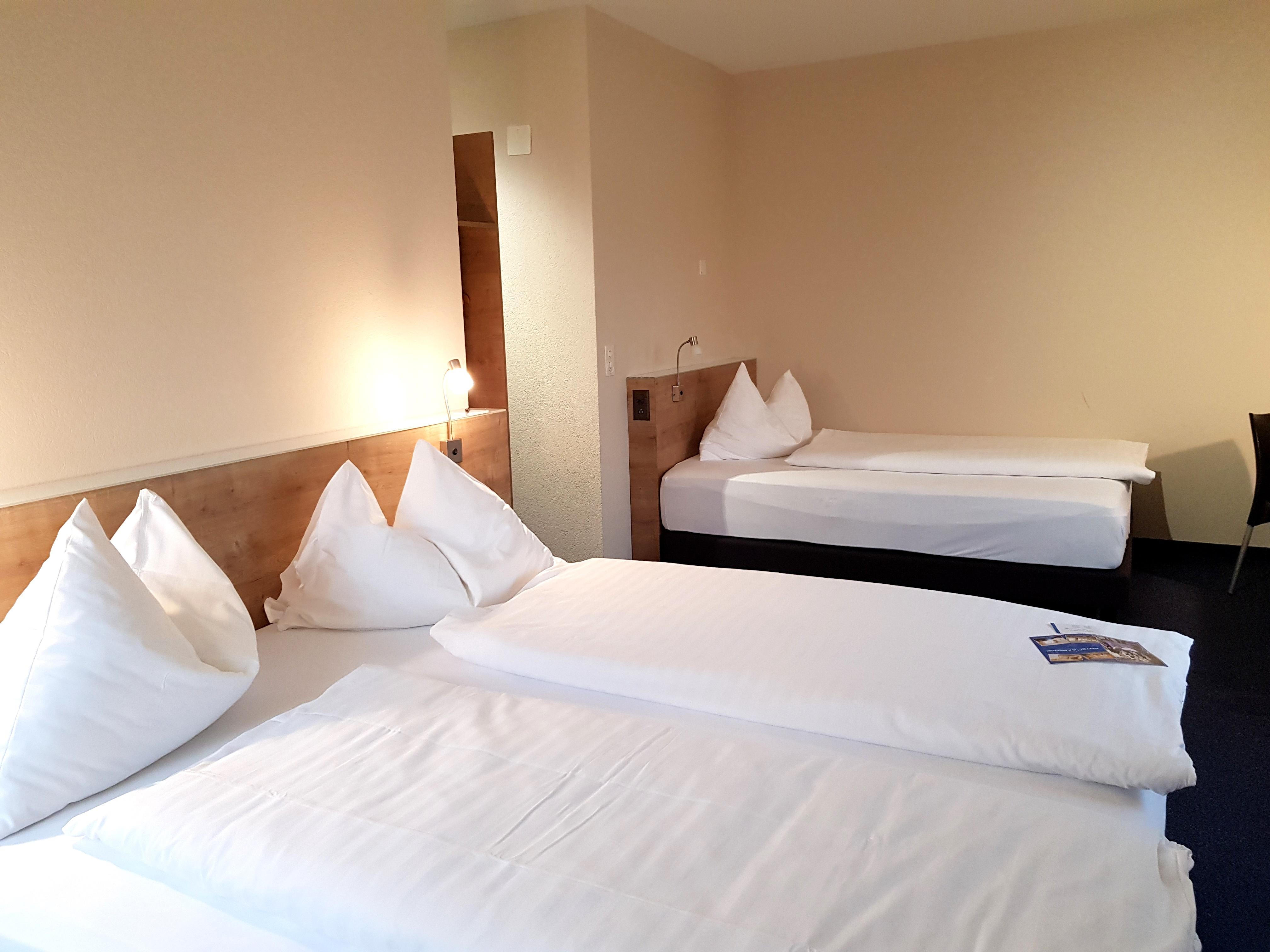 Aarehof Swiss Quality Hotel Wildegg Экстерьер фото